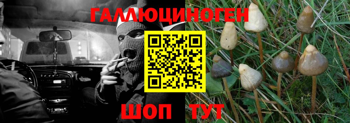 Псилоцибиновые грибы MAGIC MUSHROOMS Реутов